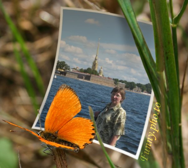 ���� �������