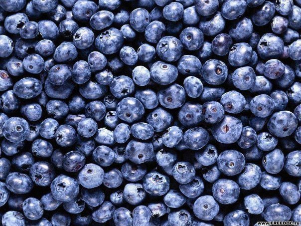 ���� �� ������