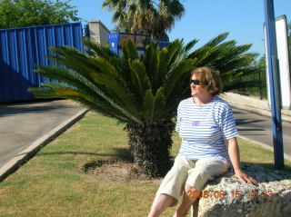 ���� ���������