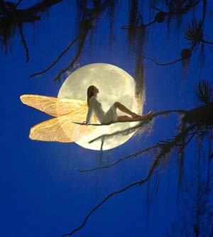 Ната Авария