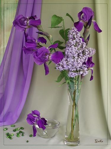 ����� ������