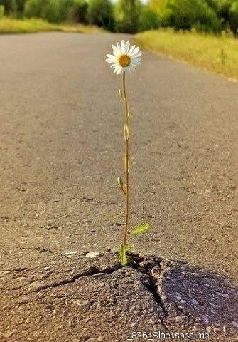 Сергей Чуев 90