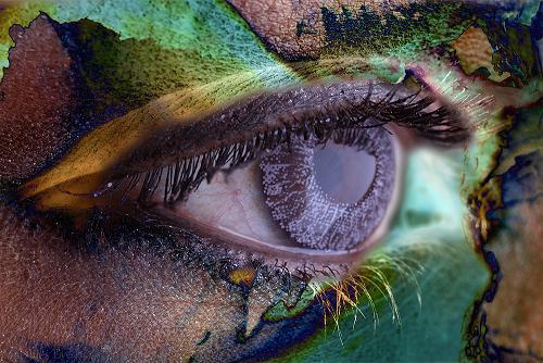 ����� ���