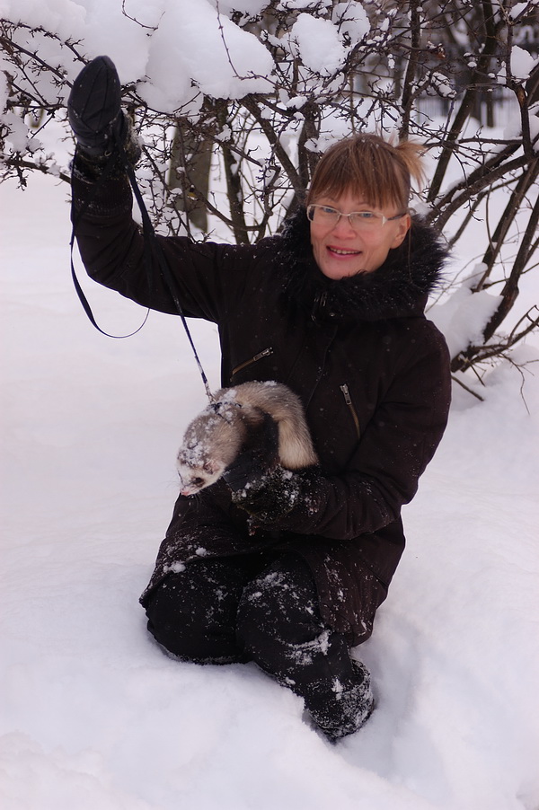 �������������