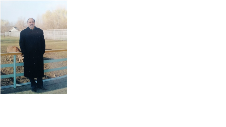 ������ �����������