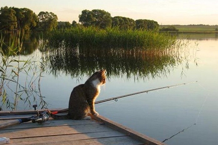 ������ �������