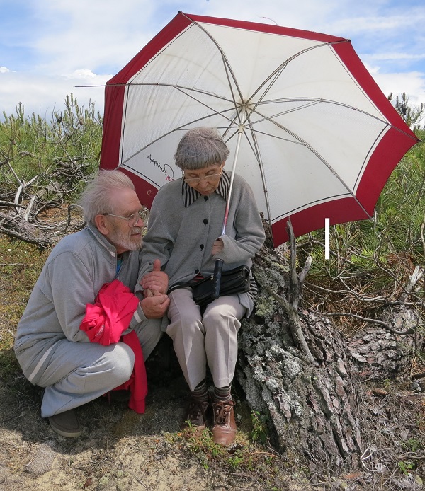 Виктор Сорокин