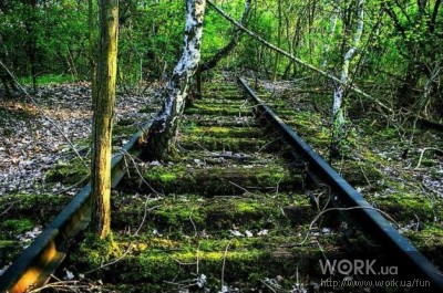 ���� ����