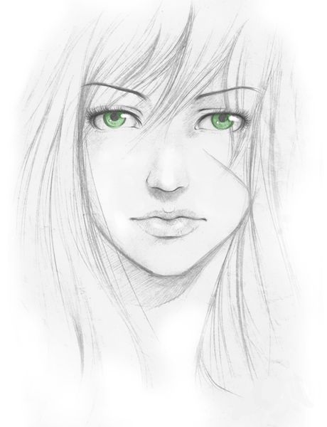 �������� �����������