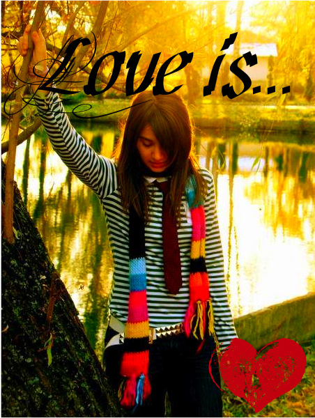 ���� �����