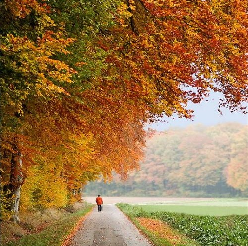 Виктор Послушник