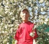 ������ �� ����������