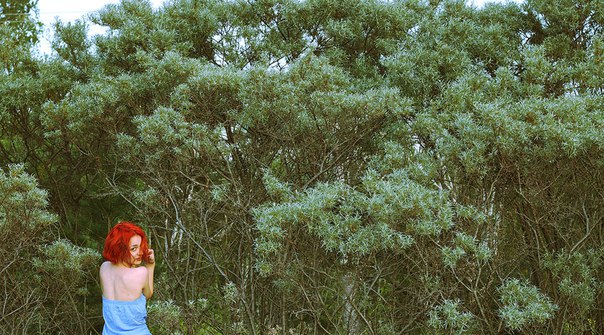 �������� Ҹ���