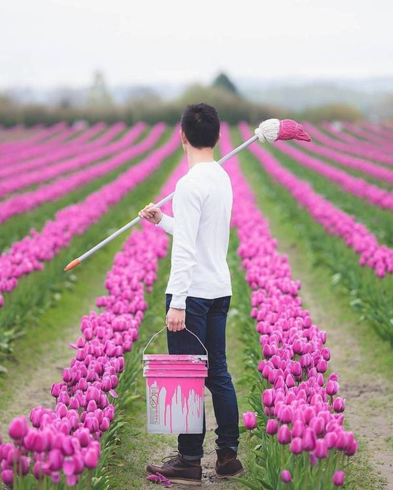 ������ ����������