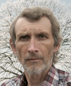 ������ �������� ����