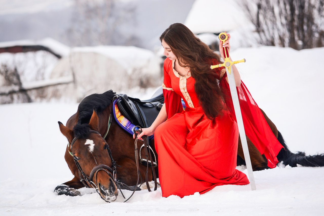 ���� ������