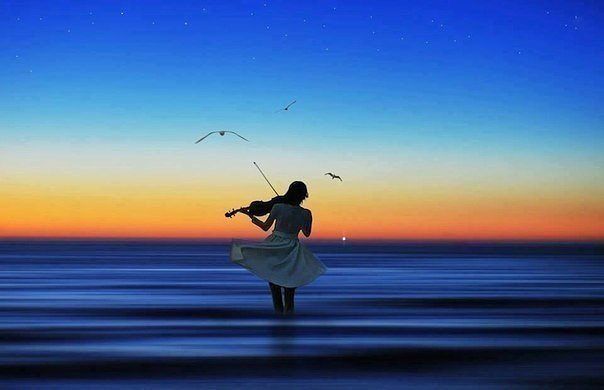 Скрипка Лиса