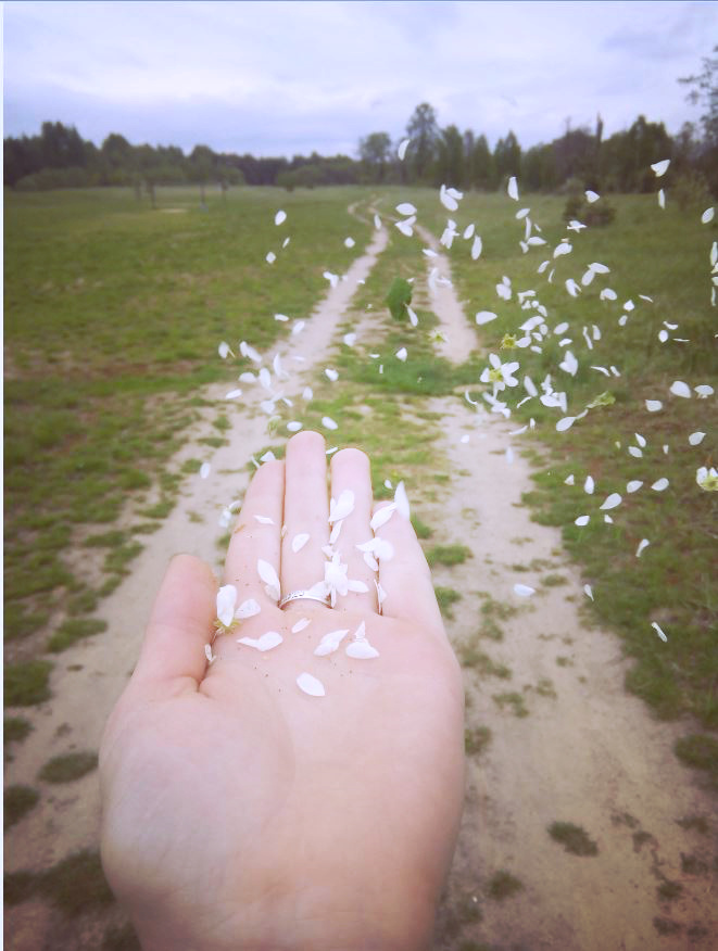 ����� ������