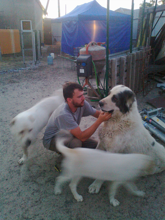 �������� ����������