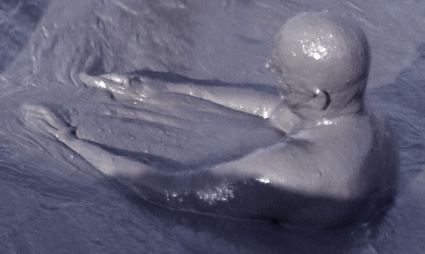 Длинношеий