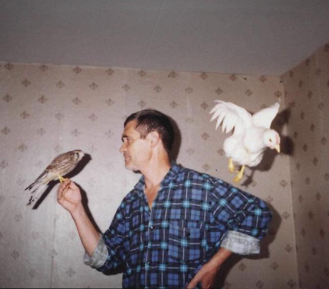 �������� ������� 2