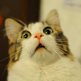 ��������� ���������