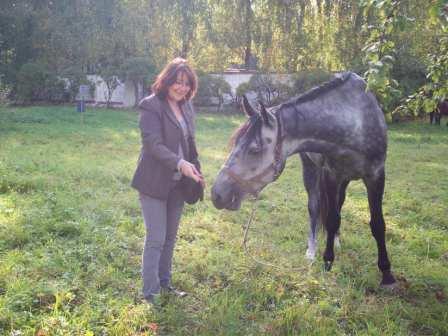 ���������� ����