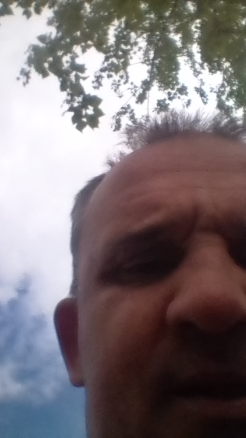 �������� �������