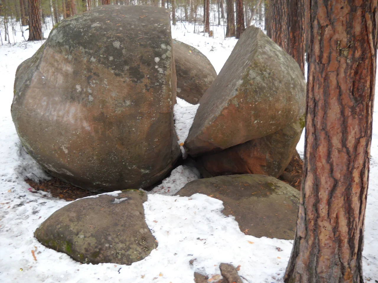 �������� ����������