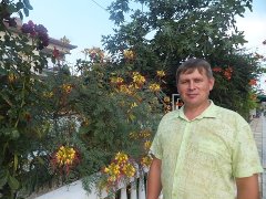 �������� �������