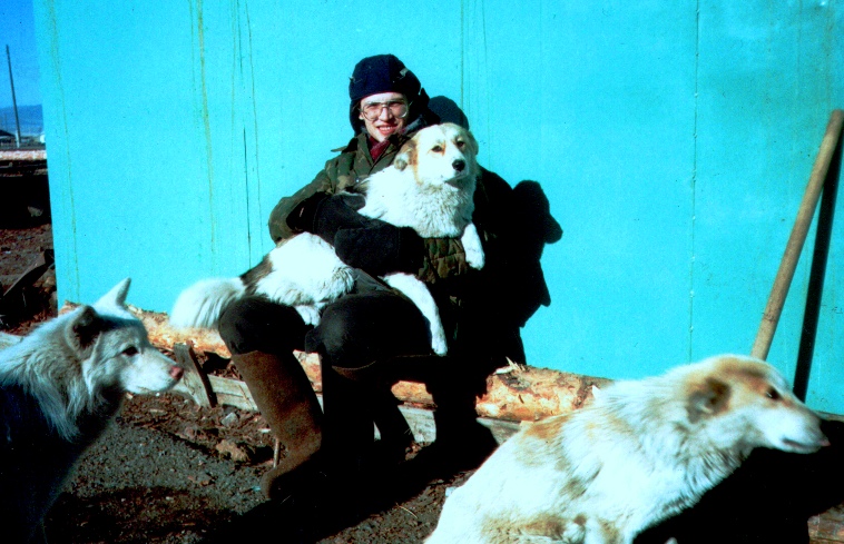 ���� ����