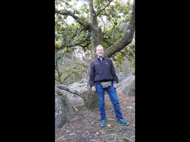 Владимир Штейн