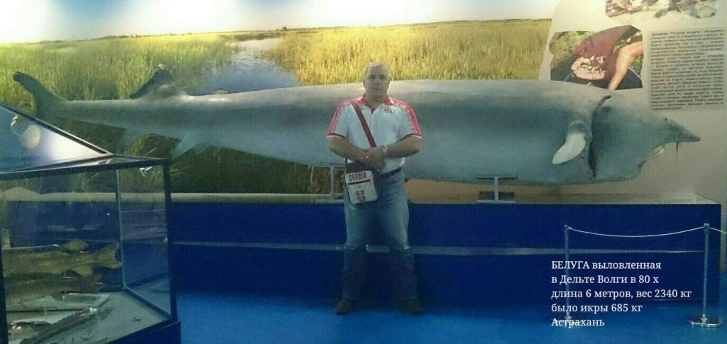 ��������� ����� 68