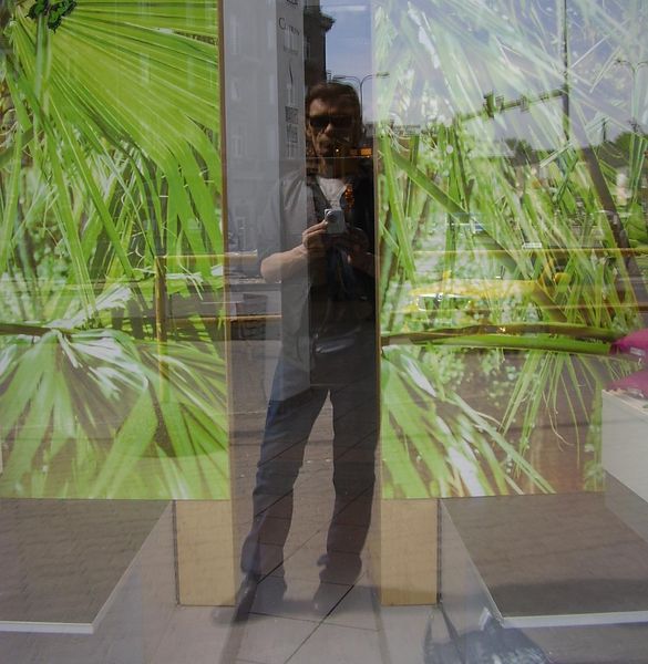 Вольдемар Инк