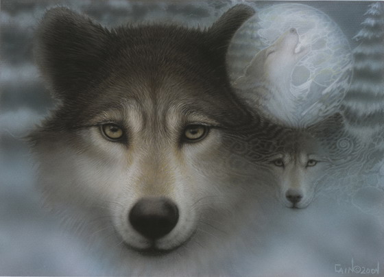 ������ ����