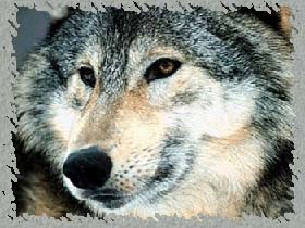 �������� ������