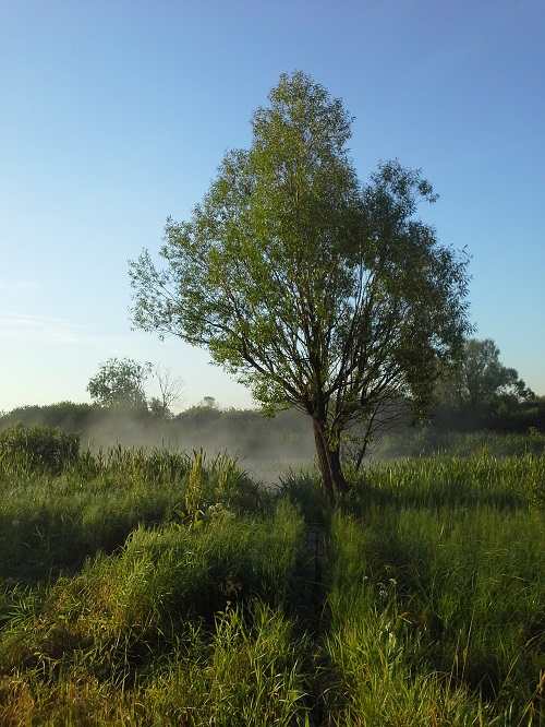 ������� �������