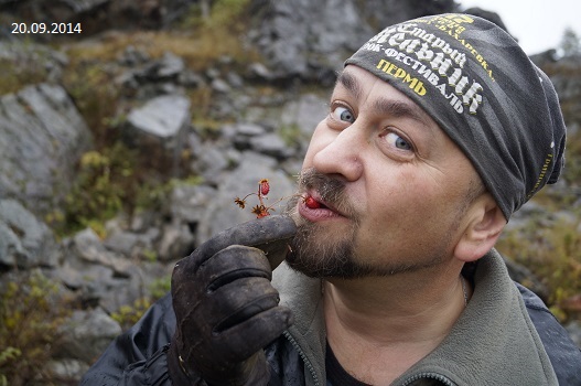 ������ ������