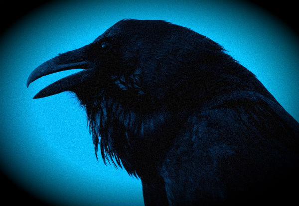 �������� ������������