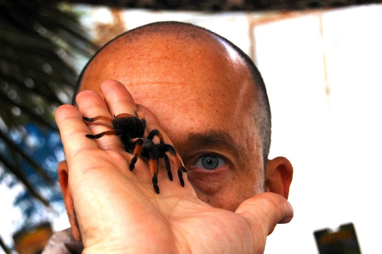 Витя Бревис