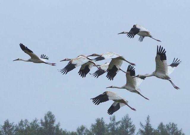 �������� ���������2