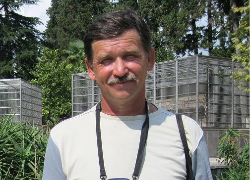 ������ ������