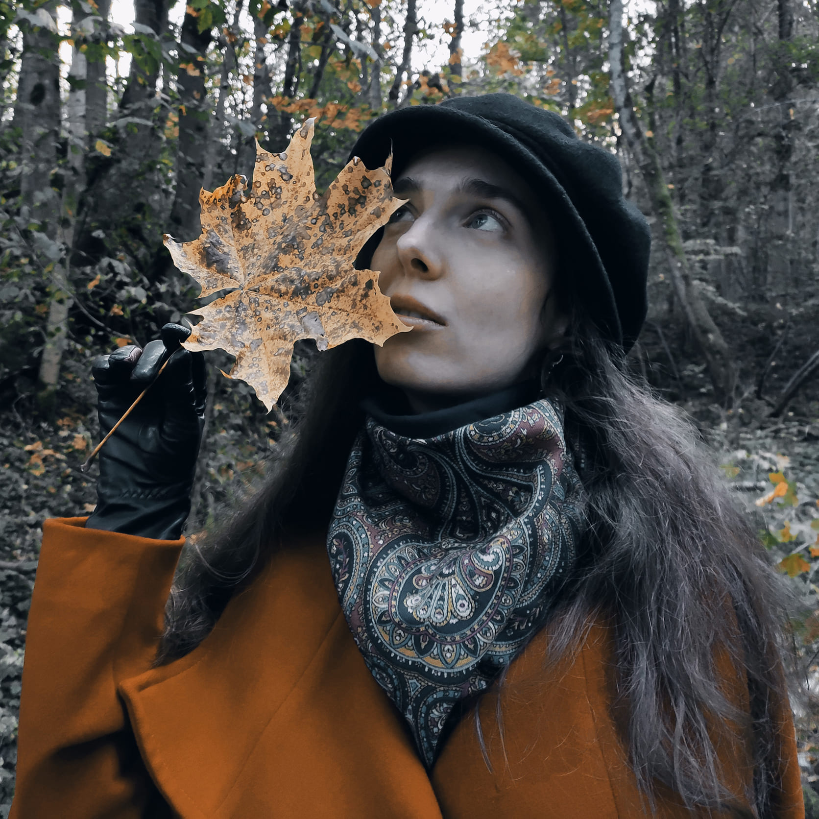 ����� ����������