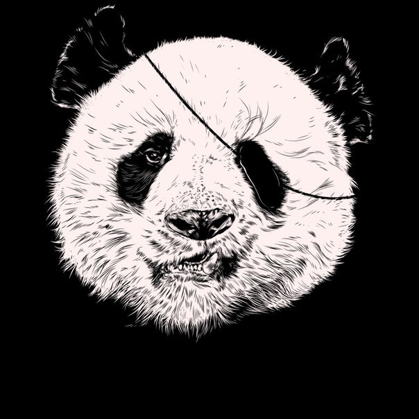 Дмитрий Званич