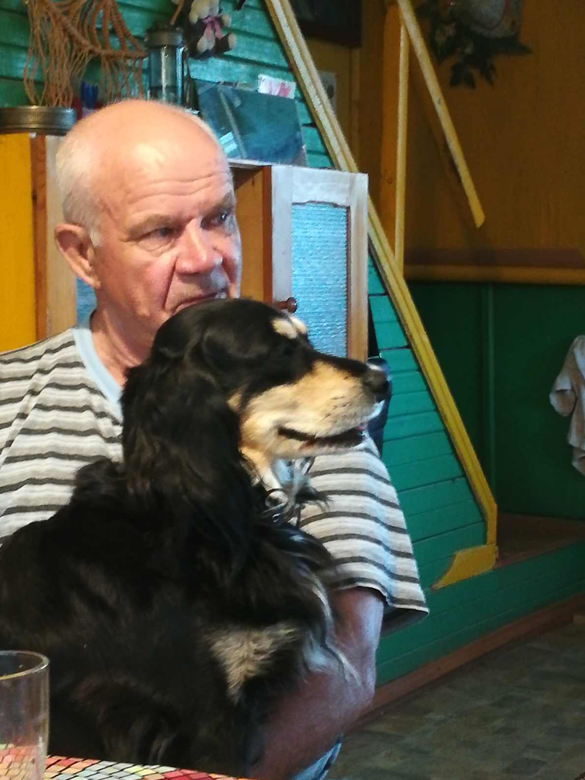 �������� ��������� 13