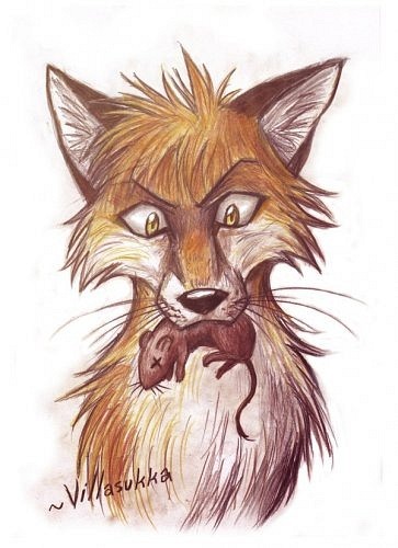 Лис Обыкновенный