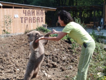 ��������� �����������