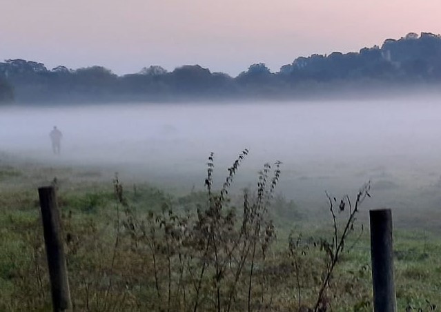 ������ �����