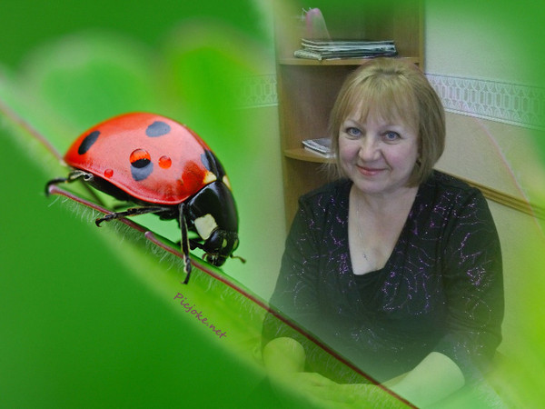 ����� ��������� 2