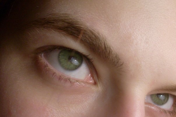 ������ ������